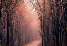 塔图姆29+10+8霍勒迪21+6+6 凯尔特人擒马刺8连胜.