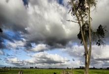 辽宁本钢战胜山东高速 取得常规赛第4名.