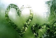 意甲女排科内3-0布斯托阿西齐奥 朱婷15分冠全场.