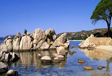 本赛季英超球员参与进球榜 萨拉赫第一哈兰德第二.